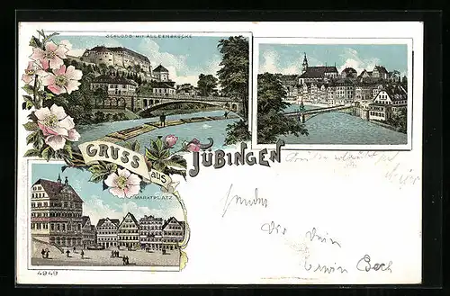 Lithographie Tübingen, Ortsansicht, Schloss mit Alleenbrücke, Marktplatz