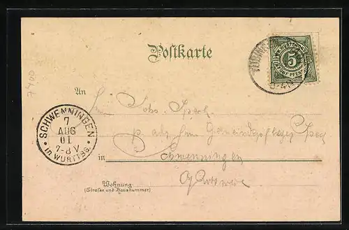 Lithographie Tübingen, Ortsansicht, Schloss mit Alleenbrücke, Marktplatz