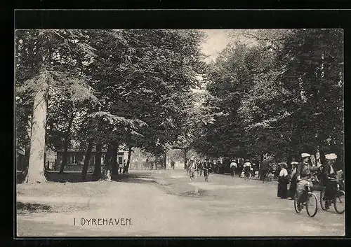 AK Dyrehaven, Strassenpartie mit Radfahrern