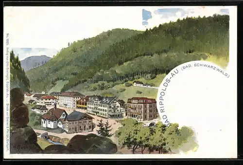 Künstler-AK Bad Rippoldsau /Baden, Ortsansicht mit Umgebung aus der Vogelschau