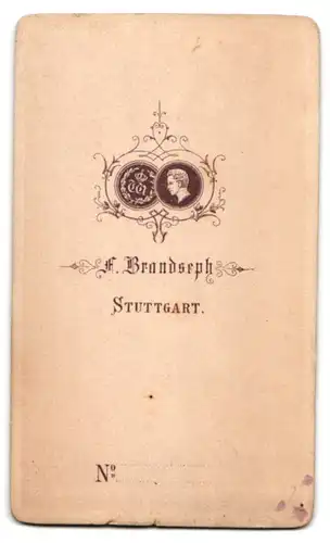 Fotografie F. Brandseph, Stuttgart, Dame im seidenen Kleid mit Halskette