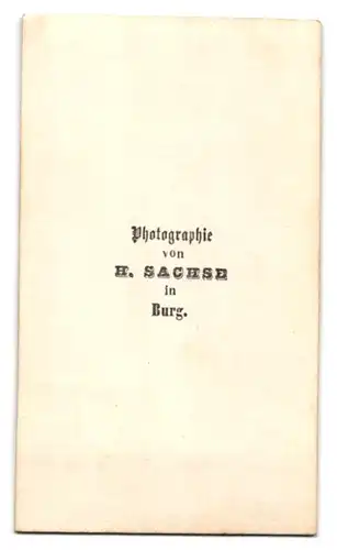 Fotografie H. Sachse, Burg, junger Mann im Anzug mit Mantel und Hut auf dem Sekretär