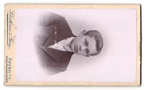 Fotografie Scheithauer & Giese, Zwickau i. S., Äussere Plauensche Str. 24, Medaillen mit Portrait Daguerre, Talbot, Niepc