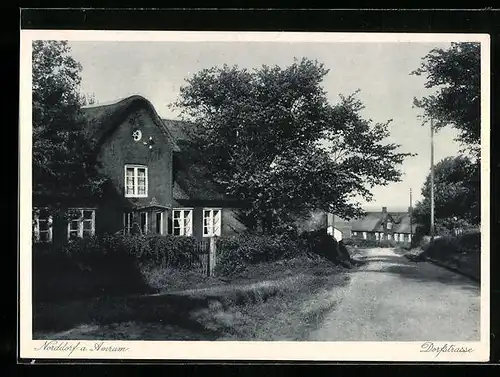 AK Norddorf a. Amrum, Dorfstrasse mit Bäumen