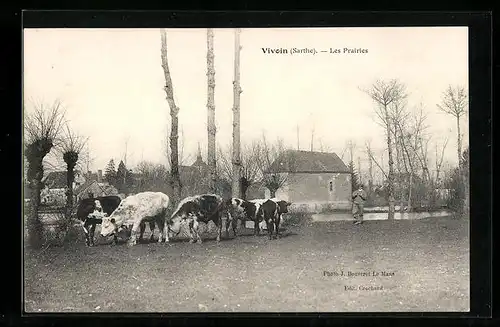 AK Vivion, Les Prairies