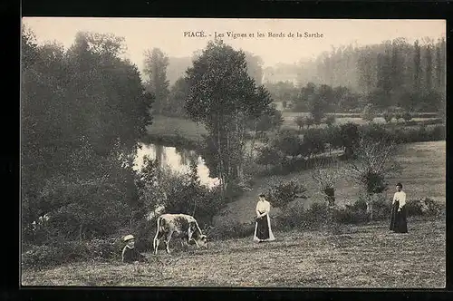 AK Piacé, Les Vignes et les Bords