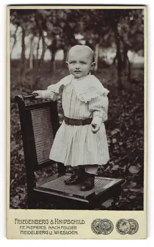 Fotografie Friedenberg & Knipschild, Heidelberg, Hauptstrasse 42, Kleinkind mit abstehenden Ohren im weissen Kleid