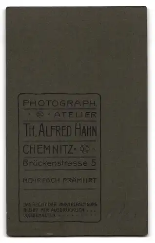 Fotografie Th. Alfred Hahn, Chemnitz, Brückenstr. 5, Hübsche Dame mit gebundenem Haar und Sonntagsgewand