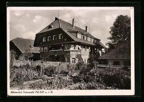 AK Oedenwald, Adrionshof, Schwarzwald-Gasthaus, Bes. Hugo Göckelmann-Adrion
