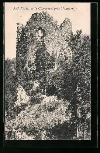 AK Montfermy, Ruines de la Chartreuse