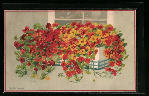 Künstler-AK Meissner & Buch (M&B) Nr. 2054: Bunte Blumen am Fenster gepflanzt