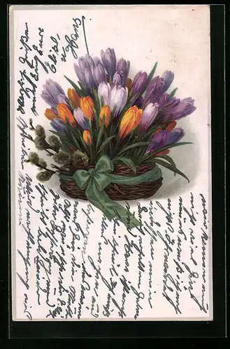 Künstler-AK Meissner & Buch (M&B) Nr. 2342: Gelbe und violette Krokusse mit Weidenkätzchen