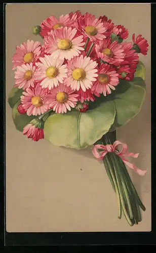 Künstler-AK Meissner & Buch (M&B) Nr. 1877: Rosa Margeritenstrauss zum Frühlingseinzug