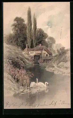 Künstler-AK Meissner & Buch (M&B) Nr. 1189: Am Weiher, Flusspartie mit Haus, Schwäne