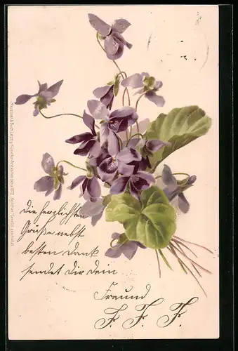 Künstler-AK Meissner & Buch (M&B) Nr. 1072: Veilchen, Blumen