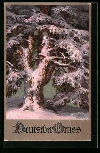 Künstler-AK Meissner & Buch (M&B) Nr. 2305: Baum im Winter