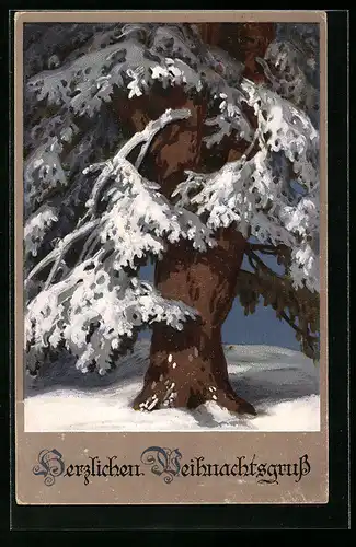Künstler-AK Meissner & Buch (M&B) Nr. 2305: Verschneiter Baum