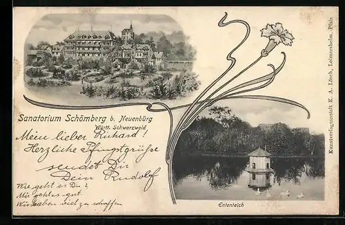 AK Neuenbürg /Württ., Sanatorium Schömberg mit Ententeich