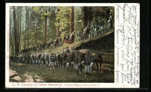 AK US Cavalry on fallen Monarch, amerikanische Soldaten