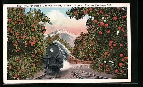 AK The Overland Limited passing through Orange Groves, Southern Calif., USA, Eisenbahn