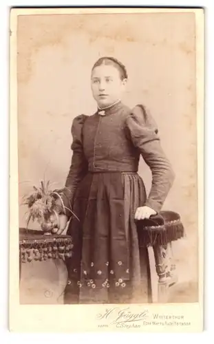 Fotografie H. Jäggli, Winterthur, Ecke Wart- u. Rudolfstrasse, Pausbäckige junge Dame im Kleid mit Puffärmeln