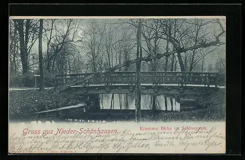 Mondschein-AK Berlin-Niederschönhausen, Krumme Birke im Schlosspark