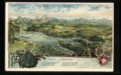 Präge-AK Insel Mainau, Bodensee-Panorama mit Alpen, Wappen