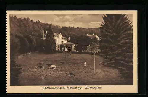 AK Boppard, Kloster Marienberg, Mädchenpensionat, Kloserwiese