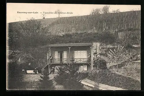 AK Vouvray-sur-Loir, Vignobles de Tourne-Bride