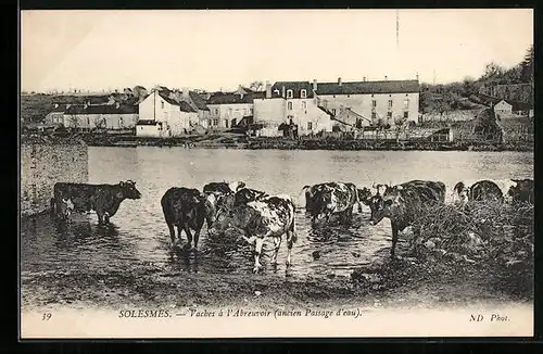 AK Solesmes, Vaches à l`Abreuvoir