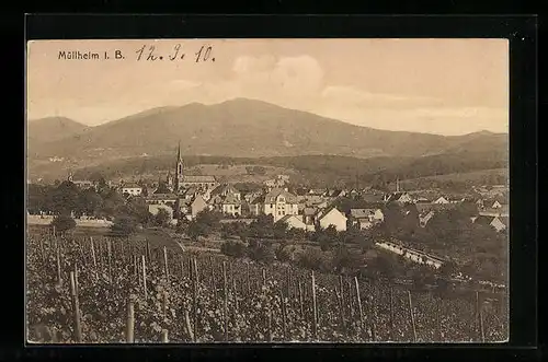 AK Müllheim i. B., Ortsansicht mit Umgebung