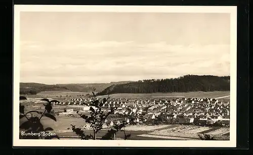 AK Blumberg /Baden, Ortsansicht aus der Vogelschau