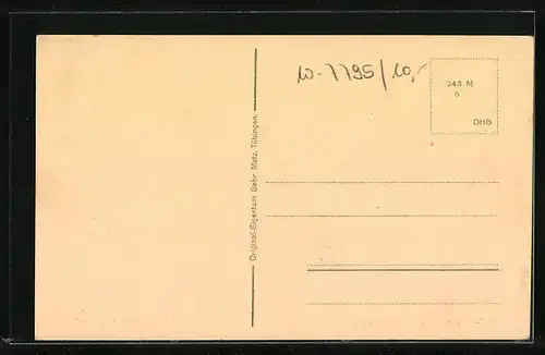 Künstler-AK Wildenstein /Donautal, Festung Wildenstein