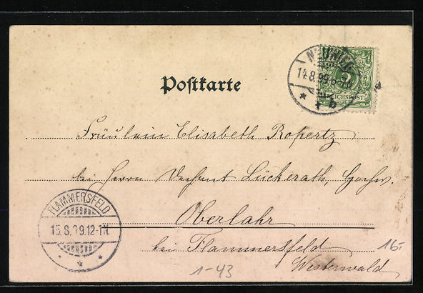 AK Neuwied, Schloss, Erbprinz und Prinzessin zu Wied, Fürst und Fürstin