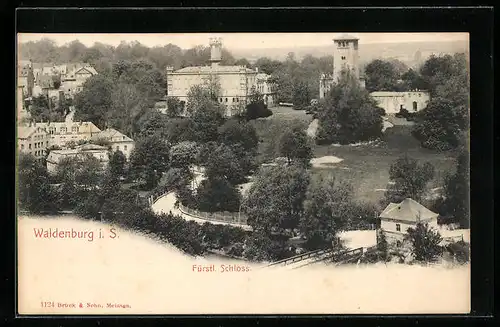 AK Waldenburg i. S., Teilansicht mit Fürstl. Schloss