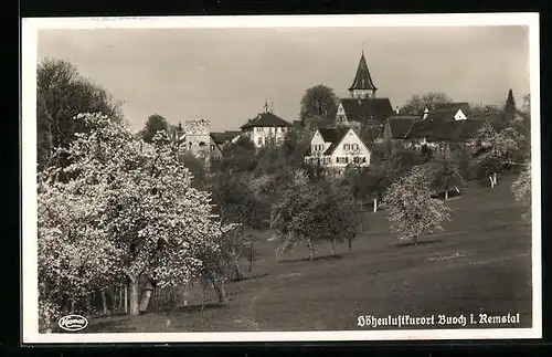 AK Buoch i. Remstal, Ortspartie während der Baumblüte