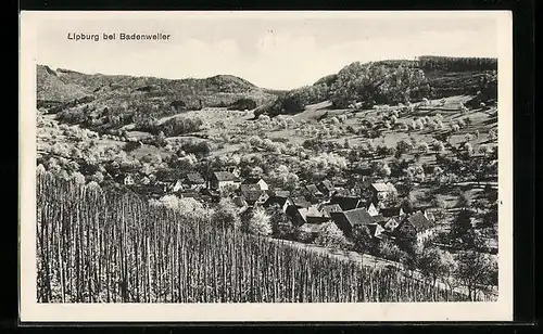 AK Lipburg bei Badenweiler, Totale vom Berg aus gesehen