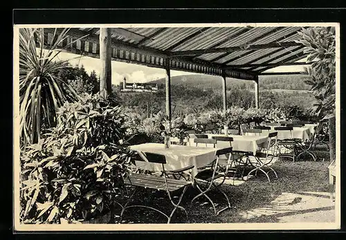 AK Lorch / Württ., Waldcafé Muckensee, Terrasse