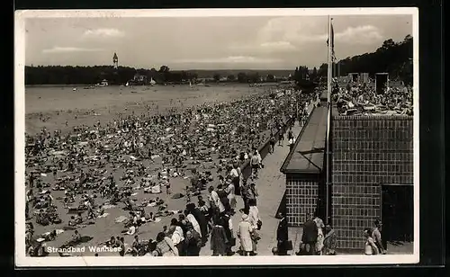 AK Berlin-Wannsee, Strandbad mit Besuchern und Badegästen