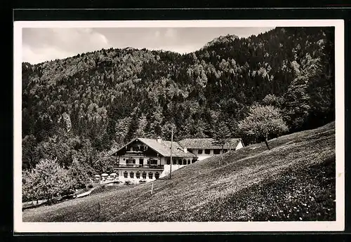 AK Törwang / Obb., Alpen-Gasthaus Duftbräu