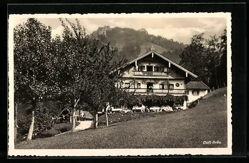 AK Törwang / Obb., Alpengasthaus Duftbräu