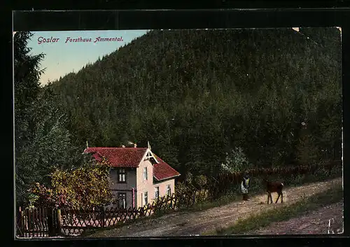 AK Goslar, Forsthaus Ammental