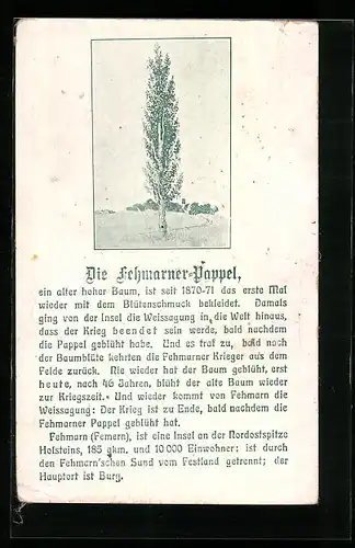 AK Fehmarn, die Fehmarner Pappel