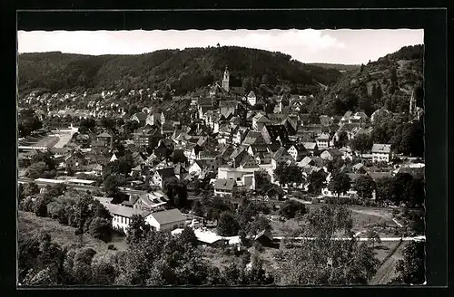 AK Horb am Neckar, Generalansicht der Stadt