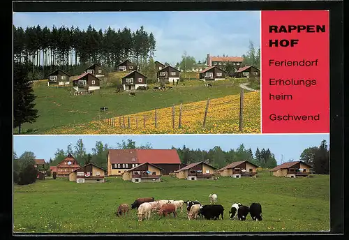 AK Geschwend, Erholungsheim und Feriendorf Rappenhof, Kühe auf der Weide