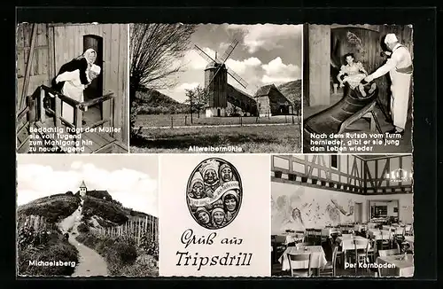 AK Tripsdrill-Cleebronn, Altweibermühle, Michaelsberg, Gasthaus mit Terrassen