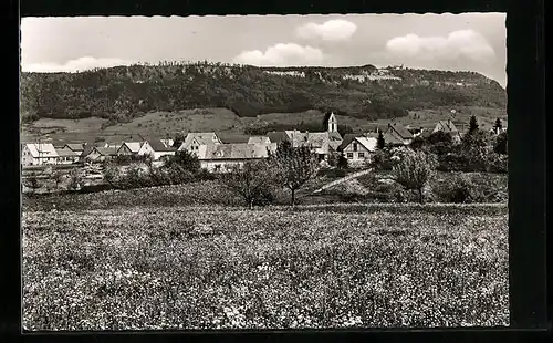 AK Aldingen bei Spaichingen, Ortsansicht vom Feld her gesehen