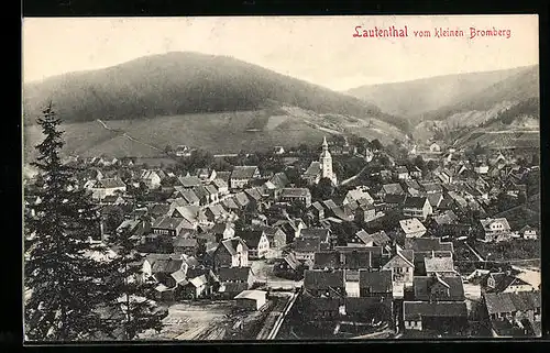 AK Lautenthal, Totalansicht vom kleinen Bromberg
