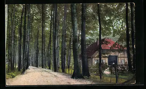 AK Kiel, Im Kitzeberger Gehölz