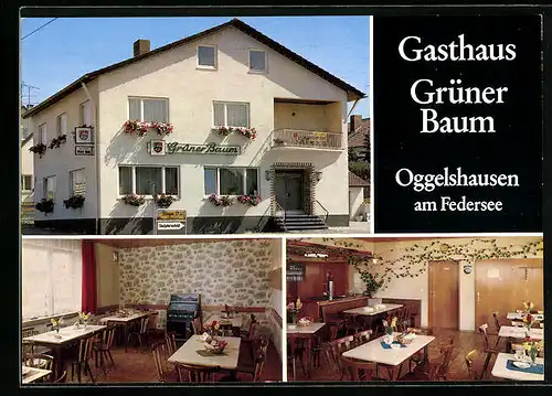 AK Oggelshausen am Federsee, Gasthaus Grüner Baum in drei Ansichten